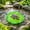 Floating Lotus Leaf Under $5 a2, variant on Vacemry Floating Lotuses Leaf Ornaments, Faux Lily Pads Frog Turtle Decor, Realistic Resin Pond Decorations, Courtyard Fish Pond Landscaping, Garden Water Feature Shelf Decor