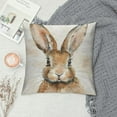 thumbnail image 2 of Shangniulu Easter Rabbit Throw Pillow Case Cushion Cover Spring Home Decoration Short Plush Material，Multiple sizes available, 2 of 5