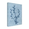 thumbnail image 2 of Canvas Wall Art - Pernille Folcarelli 'Vicia Sky Blue' Wall Art for Living Room, Bedroom, or Office Décor by Trademark Fine Art - 35 x 47 Inches, 2 of 4