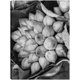 thumbnail image 1 of Cuadro Decorativo - Flores de loto de Camboya Jr  Impresión en canvas, estrechado., 1 of 2
