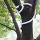 thumbnail image 5 of Juguete de serpiente falsa, simulación realista, accesorio de broma para cosplay, juguetes ingeniosos para niños (blanco), 5 of 6