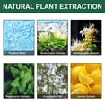thumbnail image 4 of Herbal Cleanse Mist-Powerful Support Herbal Cleanse & Nasal Spray Limpiador natural Spray nasal 30ml, 4 of 5