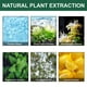thumbnail image 4 of Herbal Cleanse Mist-Powerful Support Herbal Cleanse & Nasal Spray Natural Cleansing Nasal Spray 30ml Buy 2 Save 10%, 4 of 5