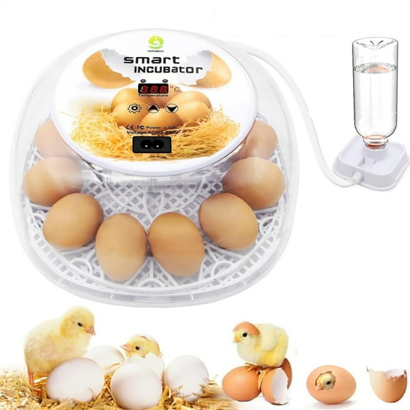 Egg Incubator, 12 Egg Incubator with Automatic Egg Turning and Humidity Monitoring, Temperature Control, Farm Poultry Hatcher Machine for Hatching Chickens, Duck,Quail, Goose Eggs