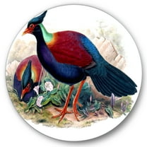 Designart 'Ancient Birds In The Wild II' Traditional Circle Metal Wall Art 36x36 - Disc of 36