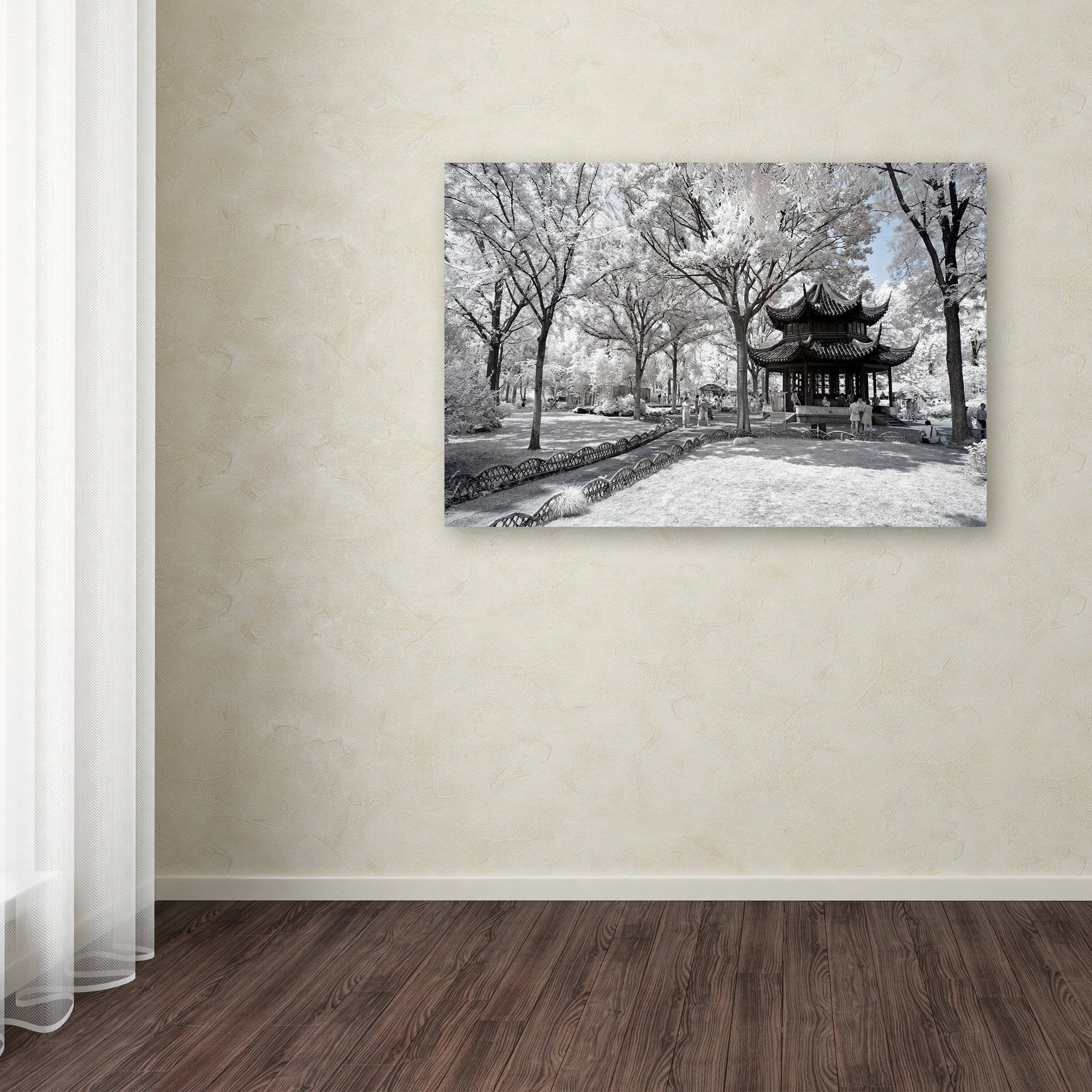 Trademark Fine Art "Coldness" Canvas Art by Philippe Hugonnard