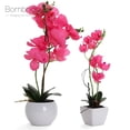 thumbnail image 4 of Bornbridge Artificial Potted Orchid with Long Stem - 2 Pack - Hot Pink - Large, 4 of 5
