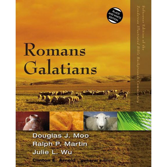Zondervan Illustrated Bible Backgrounds Romans, Galatians, (Paperback)