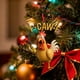 thumbnail image 5 of Adornos navideños, adornos navideños, regalos navideños, divertidos adornos navideños de pollo enojado, decoración navideña, colgante de pollo, pieza decorativa de pollo, 5 of 6
