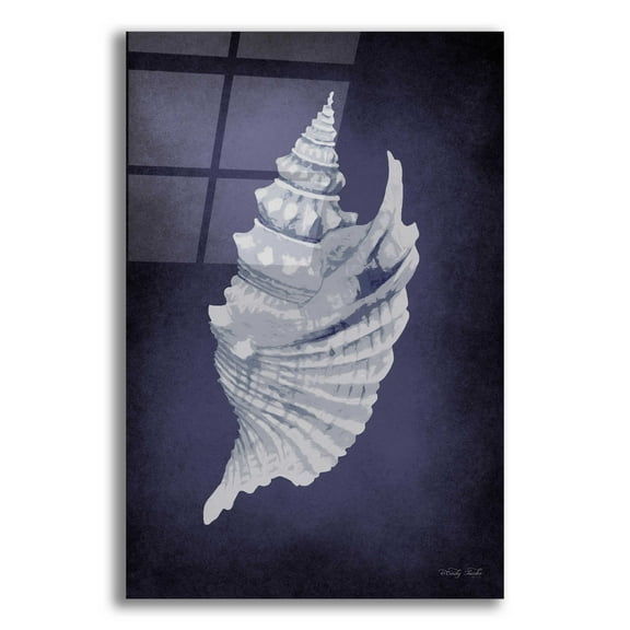 Epic Art 'Blue Seashell I' by Cindy Jacobs, Acrylic Glass Wall Art, 16"x24"
