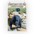 thumbnail image 2 of Chimney Rock State Park, NC, Bear Fishing in Stream (12x18 Wall Art Poster, Room Decor), 2 of 3