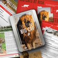 thumbnail image 4 of Gift Republic: Adopt a Big Cat, 4 of 10