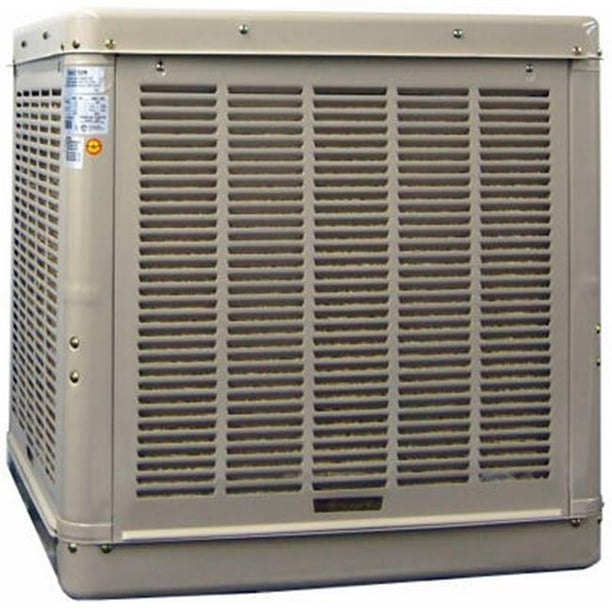 Champion Cooler 3000 DD 3000 CFM Cooler
