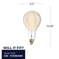 thumbnail image 4 of Bulbrite  60 Watt Dimmable Grand Nostalgic Medium (E26) Incandescent Bulb Spiral Pear, 4 of 5