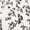 Y-916 White, variant on Women Short Sleeve Dresses for Women Spandex Rayon Graphic Midi Knee Length Fall Summer 2026 Clothing Country Concert Y2K