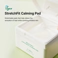 thumbnail image 2 of Mascarilla facial Dr.Althea StretchFit Calming Pad con centella asiática, 2 of 9