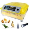 thumbnail image 1 of Incubadora de 48 Huevos HHD Eclosionador de Huevos con Giro Automático, 1 of 8