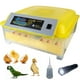 thumbnail image 1 of Incubadora de 48 Huevos HHD Eclosionador de Huevos con Giro Automático, 1 of 8