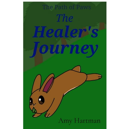 The Healers Journey (Paperback)