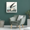 thumbnail image 3 of Trademark Fine Art Pictufy   Black Skimmer From Birds of America 1827 Canvas Wall Art, 3 of 4