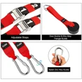 thumbnail image 2 of Flige Suspension Trainer Resistance Straps Workout bodyweight Training Kit Full Body Training Straps for Home Gym, 2 of 5
