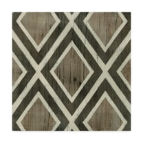 Trademark Fine Art 'Driftwood Geometry II' Canvas Art by June Erica Vess