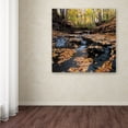 thumbnail image 4 of Trademark Fine Art "Late Autumn Falls" Canvas Art by Kurt Shaffer, 4 of 4