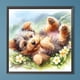 thumbnail image 3 of Pintura de diamante 5D DIY, taladro redondo completo, Kit de Yorkshire Terrier, decoración del hogar, 40x40cm, 3 of 9