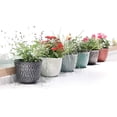 thumbnail image 2 of Davyline Plastic Round 8 Inch Planters for Indoor Plants Set of 6 Outdoor Resin Flower Pots Colorful with Drainage Hole Rubber Plug Retro Appearance Home Christmas Decorative Containers Multicolor, 2 of 6