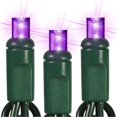 thumbnail image 1 of Queens of Christmas S-50MMPU-6GST S-50MMPU-6GST - 50 Count Standard Grade Strobe 5MM Conical Purple LED Light Set with in-line rectifer on Green Wire, 1 of 1