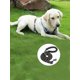 thumbnail image 1 of 1pc Dual-Colored Reflective Pink Pet Leash For Nighttime Walks - Suitable For Pet Dogs (Various Colors Available), 1 of 4
