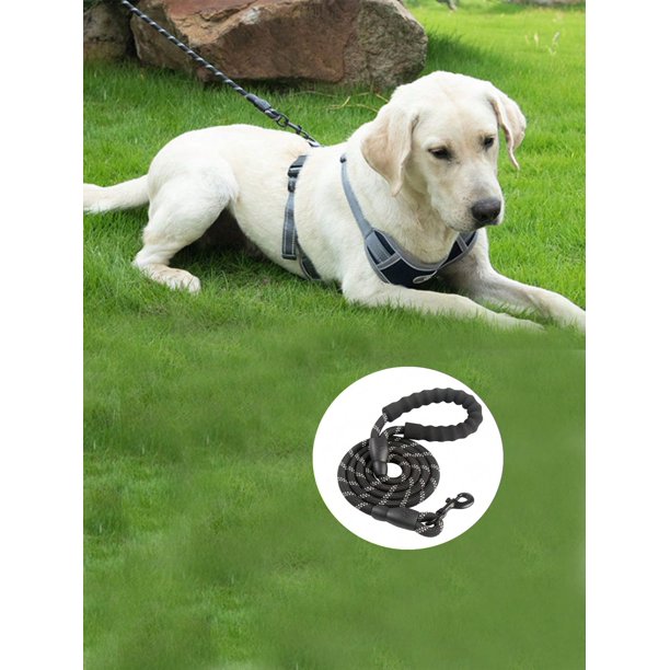 1pc Dual-Colored Reflective Pink Pet Leash For Nighttime Walks - Suitable For Pet Dogs (Various Colors Available)