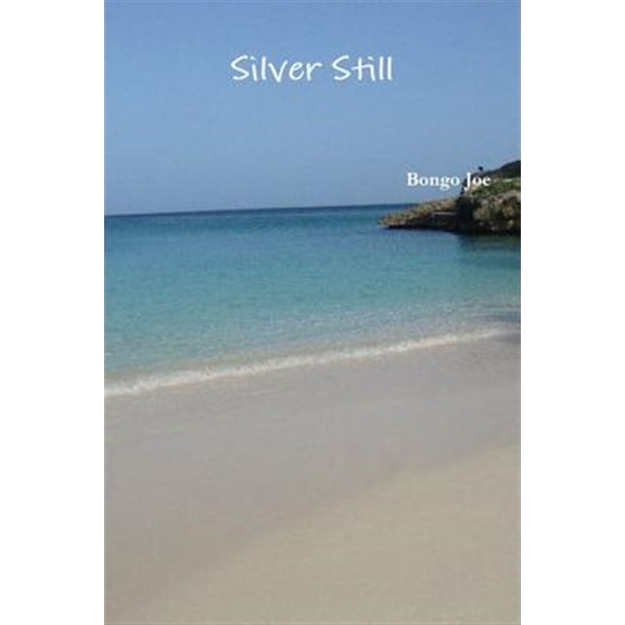 Pre-Owned Silver Still (Paperback) by Bongo Joe