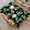 Cactus Succulents-01, variant on Rectangle Table Cloth,Abstract Geometric Plaid Seamless Tablecloths Stain Resistance Water Repellent Washable Table Cover Decor for Home Kitchen Dining Party Patio Indoor and Outdoor 60"x 84"