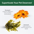 thumbnail image 2 of Nature's Protection Superior Care Adult Cat Treats for Oral Care, Extra Crunchy, Poultry, 2.64oz, 2 of 8