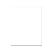 ADF Mat Blank 8x10 WhtCore White 5pc