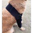 thumbnail image 3 of Dog Elbow Protector Pads, Elbow Support Wrap Knee Brace for Dogs with ACL, Treat, 3 of 5