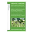 thumbnail image 4 of Té verde Traditional Medicinals menta 24 g, 4 of 4
