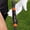 Orange, variant on Nieyigj Golf Club Grip Trainer for Kids & Beginners, Improve Hand Position with Swing Corrector Attachment, PC & TPR Material, Yellow (19 inches / 48.26 cm)