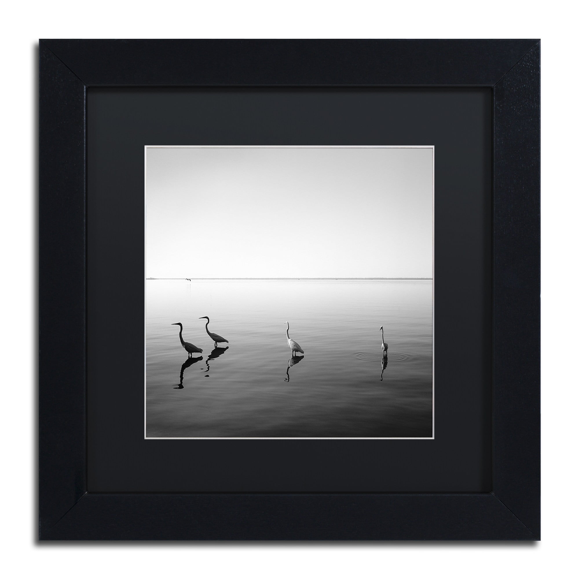 Trademark Fine Art "4 Herons" Canvas Art by Moises Levy Black Matte, Black Frame