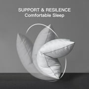 Hotel Grand Luxury Feather Down Pillows Standard Size Set of 2 Pack Hypoallergenic Medium Firm Pillows