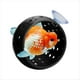 thumbnail image 1 of Escondite para Peces - Túnel con Ventosa para Acuario, Cueva para Camarones, Decoración para Acuarios, Accesorios para Peceras, 1 of 5