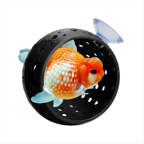 Escondite para Peces - Túnel con Ventosa para Acuario, Cueva para Camarones, Decoración para Acuarios, Accesorios para Peceras