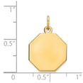 thumbnail image 2 of 14k Yellow Gold Plain .027 Gauge Engravable Octagonal Disc Charm Pendant, 2 of 2