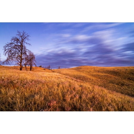 Clouds Move Above Grassy Hills in Wind Cave National Park, South Dakota Print Wall Art By Mike