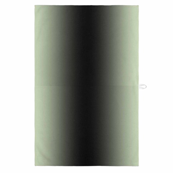 Light Green Black Ombre 1 Pack Kitchen Towel, Water Absorbent Dish Towel, Modern Gradient Abstract Art Decorative Hand Towels - Quick Drying Cloth for Cooking Baking, 18x28 Inch