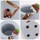 thumbnail image 4 of Plantas creativas Macetas Macetas Adornos para plantas suculentas Maceta Decorada Escritorio, Jardín, Sala de estar con Sweet Hedgehog Family Store XianweiShao 8390611991166, 4 of 5