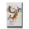 thumbnail image 1 of Epic Graffiti 'Fallow Deer' by Barbara Keith, Canvas Wall Art, 26"x40", 1 of 8