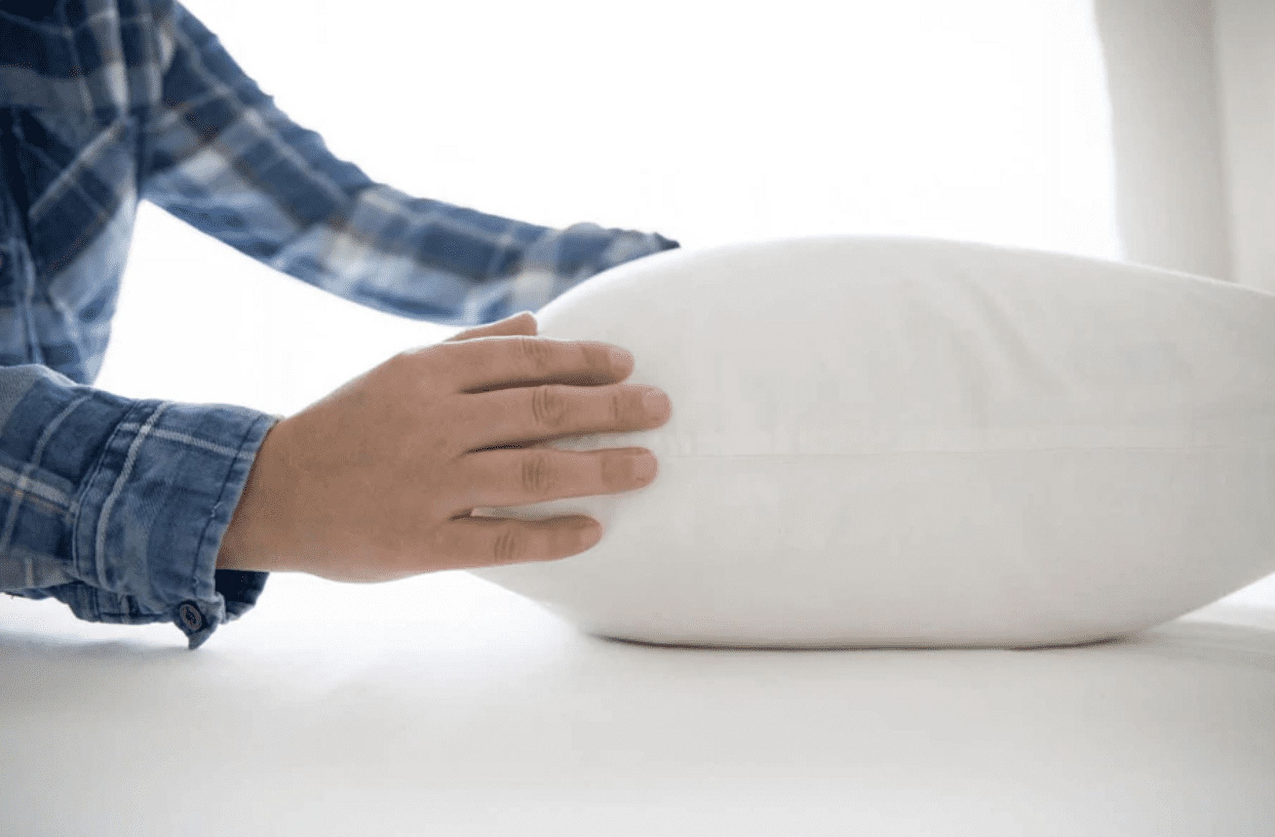 Pillowtex Luxury Core Down and Feather Standard Sized Pillow