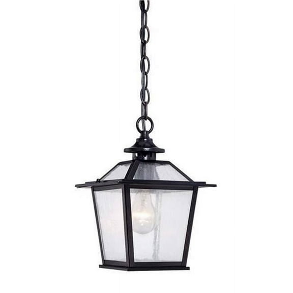 Acclaim Lighting Hanging Light,Matte Black,1-Light 9706BK